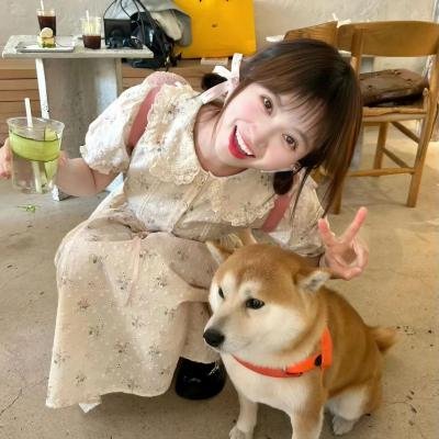 彩叶草之梦